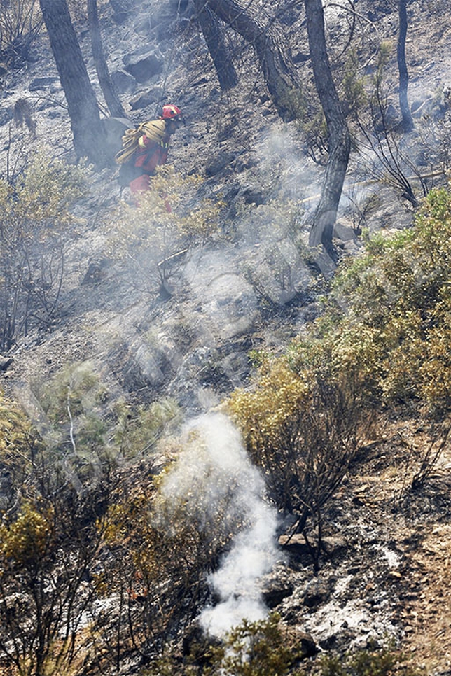 Indendio forestal en Yeste y Molinicos. / Rubén Serrallé y José Miguel Esparcia  / LATRIBUNADEALBACETE.ES