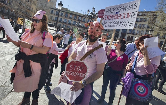 Muchos se presentaron vestidos de cerdos, con máscaras y bolsas de basura rosas.
