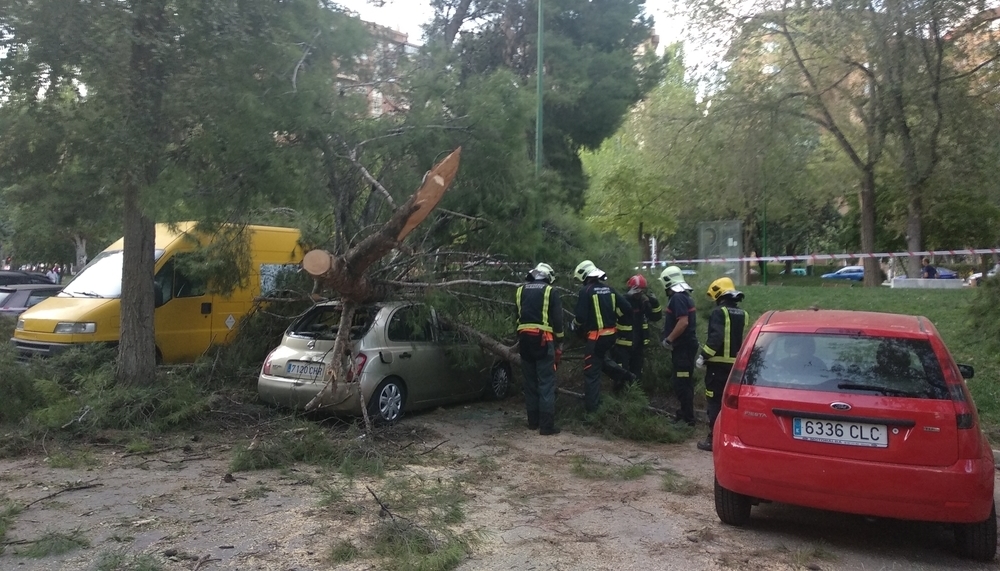 Daños en varios vehículos por la caída de un árbol