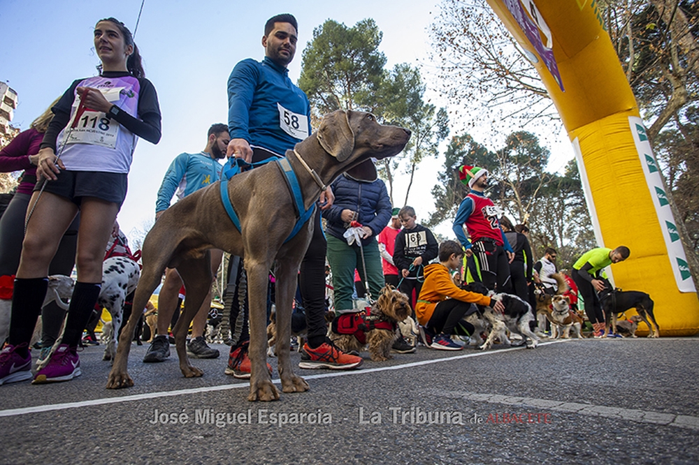 JOSÉ MIGUEL ESPARCIA