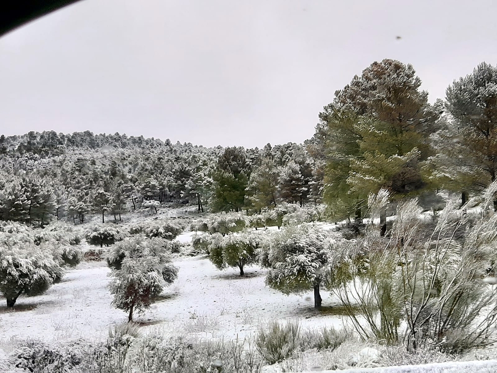 Primera nevada del año en Bogarra  / MARI CARMEN ESCUDERO