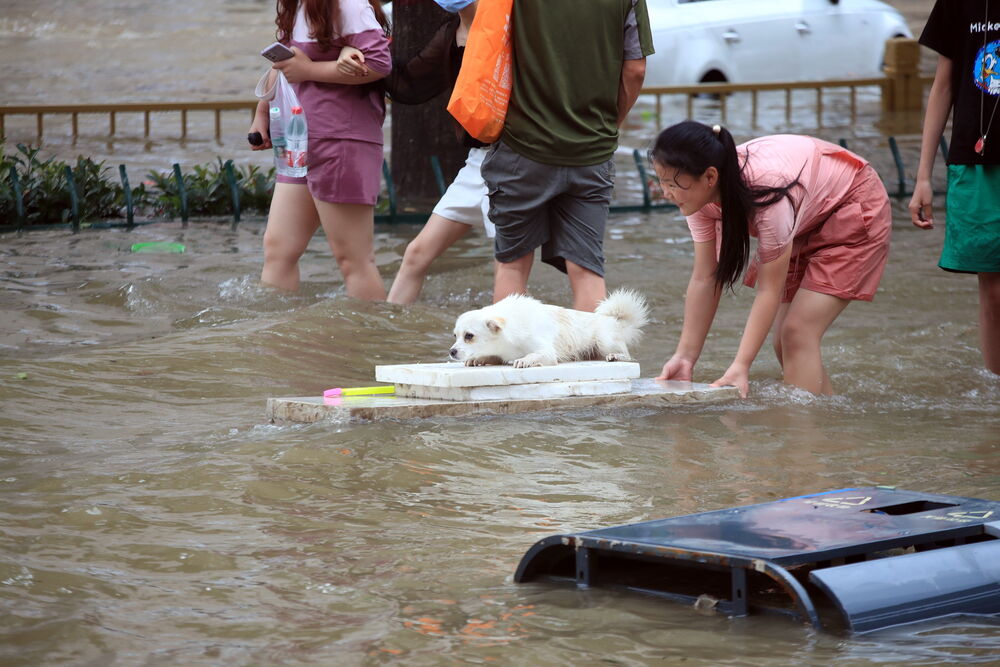 Flooding in China's Henan province  / FEATURECHINA