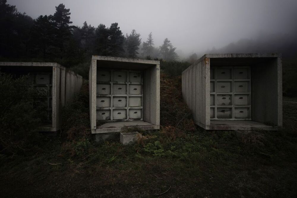 Varios de los cubos de granito del cementerio de Fisterra emergen entre la arboleda y la niebla. 