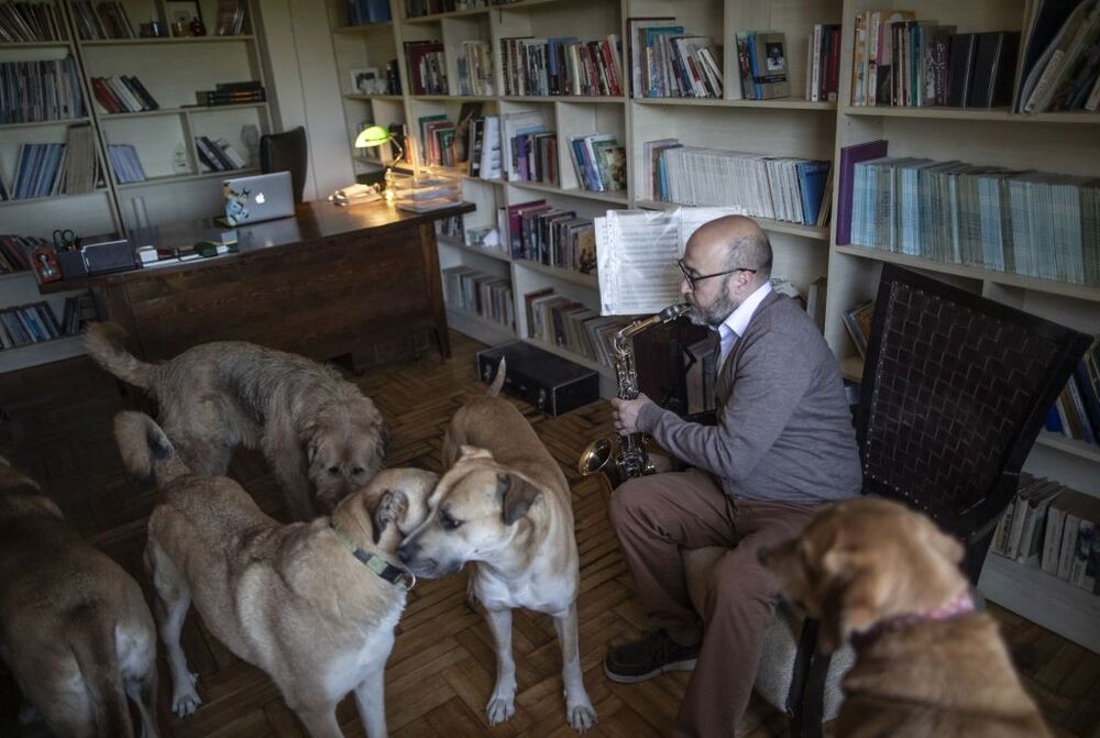 Turkish entrepeneur lives with dozens of animals  / ERDEM SAHIN