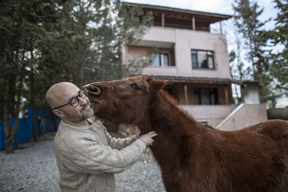 Turkish entrepeneur lives with dozens of animals  / ERDEM SAHIN