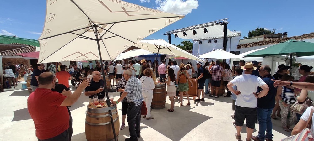 Vinartfest difunde en Villarrobledo la cultura del vino  