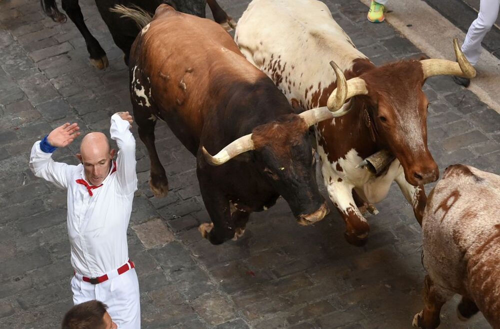 Octavo y último encierro de las fiestas de San Fermín  / JOSE LUIS LARRION