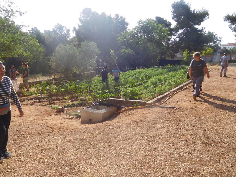Finaliza con éxito el taller de jardinería de Villarrobledo