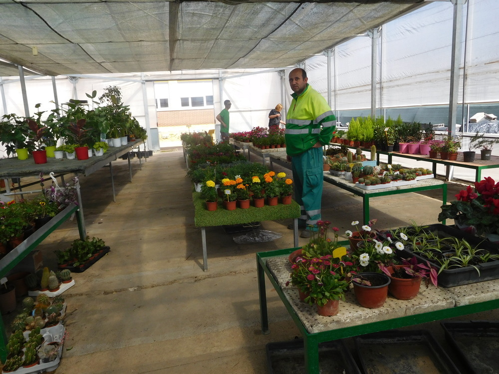 La primavera anima a la venta de flores y plantas en Asprona