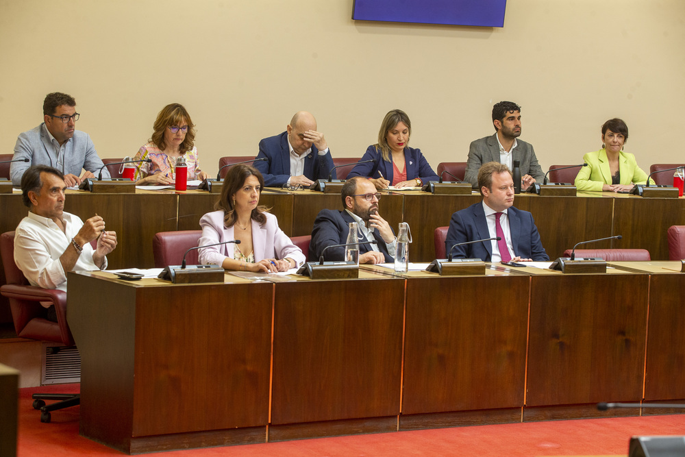 El Ayuntamiento celebra un Pleno de puro trámite  / JOSÉ MIGUEL ESPARCIA