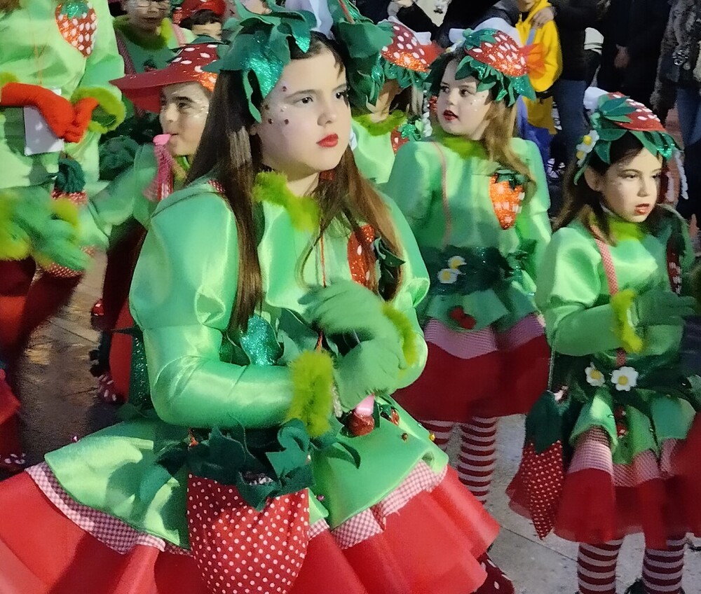 Las estrellas del Carnaval de Villarrobledo 