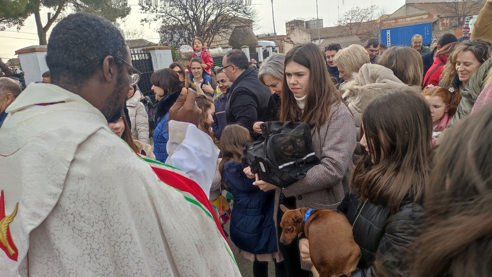 Bendicen a los animales de Villarrobledo por San Antón