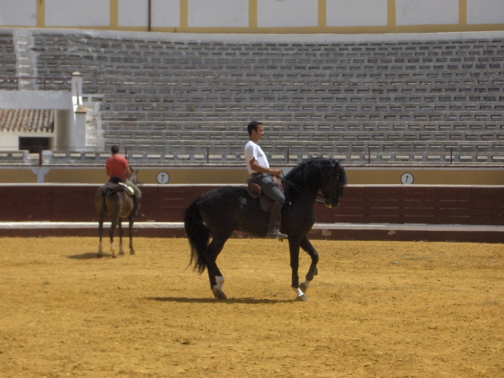 Piden retirar oferta a menores en los toros de Villarrobledo