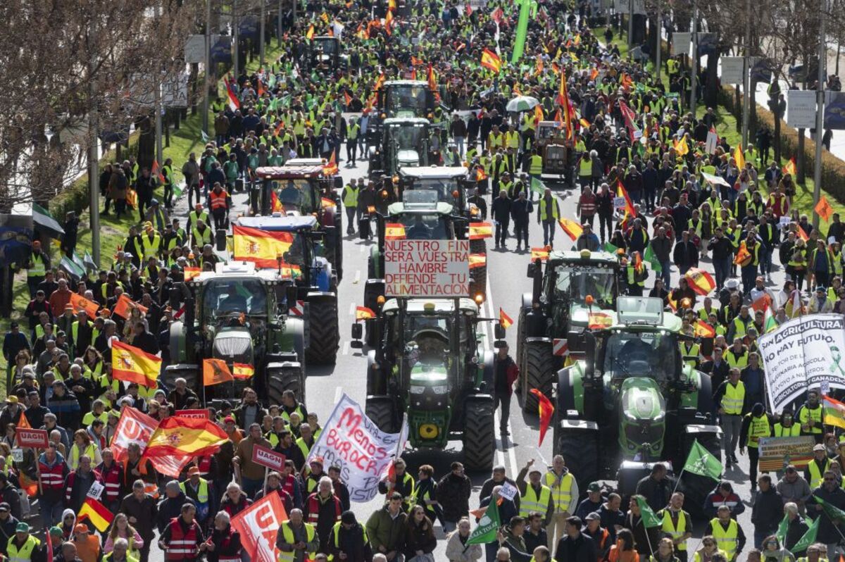 Los agricultores vuelven a Madrid para exigir mejoras en el campo   / ALBERTO ORTEGA