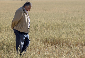 Jorge Navarro: «El agricultor siente que lo quieren echar»