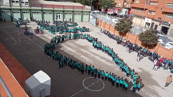 El Colegio San Francisco Coll se solidariza con La Palma