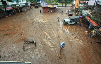 Las lluvias en la India dejan al menos 81 muertos