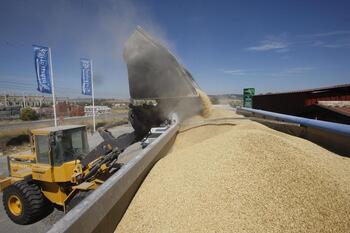 La crisis del cereal, más logística que de producción