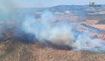 Más de 20 medios trabajan en la extinción del fuego en Montiel