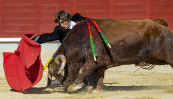 Sólo dos ganaderías de Albacete en el festival del Cotolengo