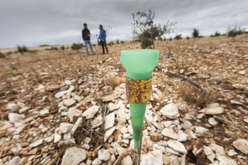 Seguro de sequía: un reto pendiente