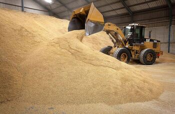 El cereal acumula una subida de 50 por tonelada en Albacete
