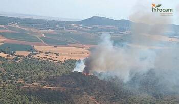 Detectan un incendio forestal en Alpera