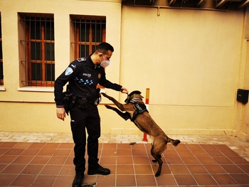 Kora, una policía especial en Tobarra