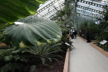 El Jardín Botánico recibe más de 25.000 visitas en 2022