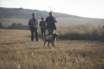 La caza, en guerra contra la Ley de Derechos Animales