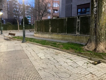 Renovarán el jardín de la calle Carmen Ibáñez