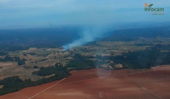 El Infocam controla un incendio forestal en Villamalea