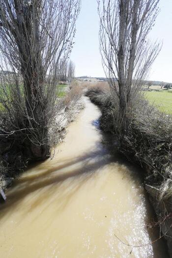 La CHJ limpiará el cauce del río Lezuza a su paso por Barrax