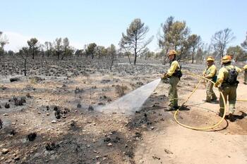 El Infocam extingue un incendio en Elche de la Sierra