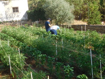 Finaliza con éxito el taller de jardinería de Villarrobledo