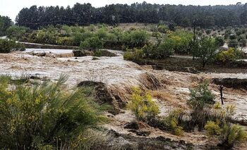 La sequía se resiste a abandonar la provincia de Albacete