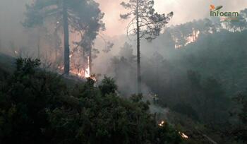 Extinguido el incendio forestal de Bogarra