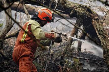 Dos incendios se mantienen activos en Asturias
