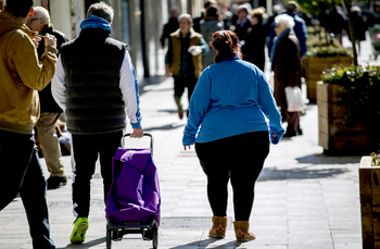 El 17% de la población adulta es obesa