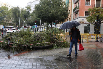 Muere una joven en Madrid tras caerle un árbol por el viento