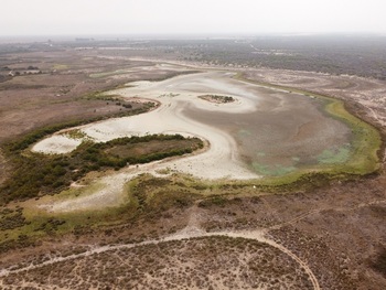 La laguna de Santa Olalla, en Doñana, se seca por segundo año