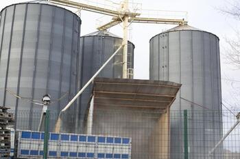 La Lonja de Albacete se niega a poner precio al cereal