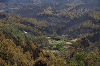 El fuego de Las Hurdes y Sierra de Gata arrasa 10.863 hectáreas