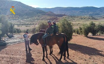 La Guardia Civil llama a la caballería para vigilar los olivos