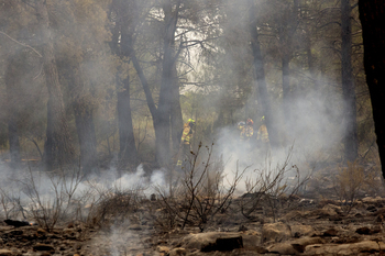 Declarado un nuevo incendio forestal en Molinicos