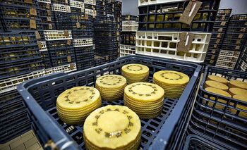 EEUU se come el 30% de los quesos que exporta la región