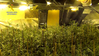 Desmantelan un cultivo 'indoor' de marihuana en Bienservida
