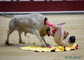 El novillero Jesús Moreno es cogido en Las Ventas