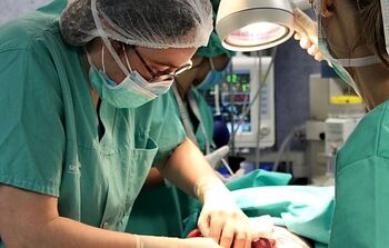 El Hospital registró un 12% más de trasplantes renales