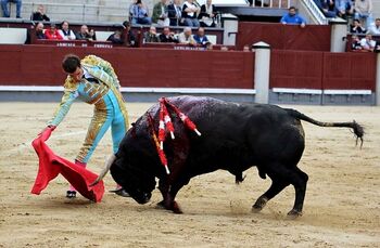 Pinar dice que, por el momento, tiene la corrida de Asprona